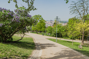 Riegrovy sady