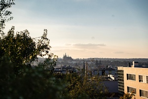 Rajská zahrada