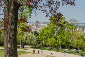 Riegrovy sady