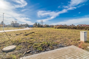 PZ1.1