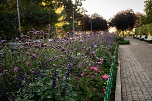 Riegrovy sady